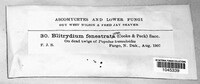 Image Associated With the Occurence